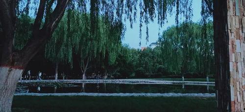 云升晚晚归,探寻诗意归途的浪漫旅程