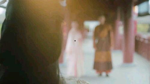 锦医风华,传承与创新中的医学瑰宝