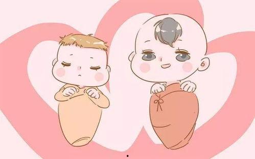 一胎二宝京太掉马99天,一胎二宝的甜蜜逆袭