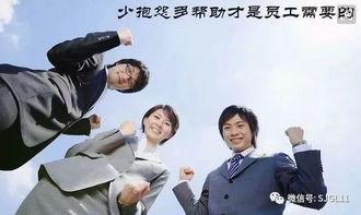 职场小烈 第三季,挑战升级，职场精英的蜕变之路