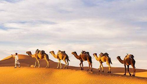 撒哈拉,非洲大陆的沙漠奇迹与挑战