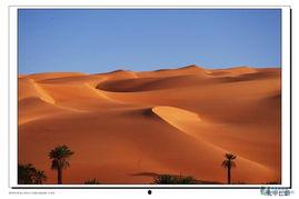 撒哈拉,非洲大陆的沙漠奇迹与挑战